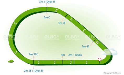 olbg predictions for today